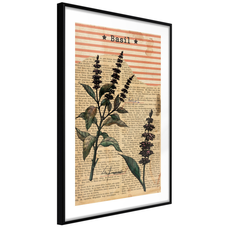 Poster Basil Poetry - vintage composition with plants and black text in background 129426 additionalImage 8