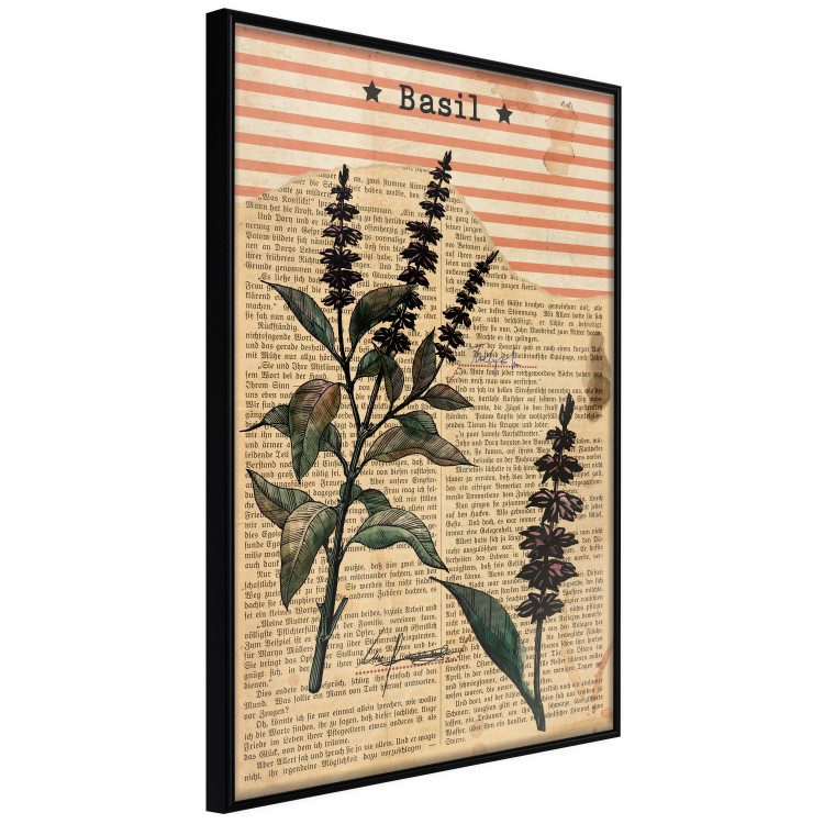 Poster Basil Poetry - vintage composition with plants and black text in background 129426 additionalImage 11