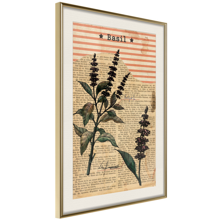 Poster Basil Poetry - vintage composition with plants and black text in background 129426 additionalImage 3