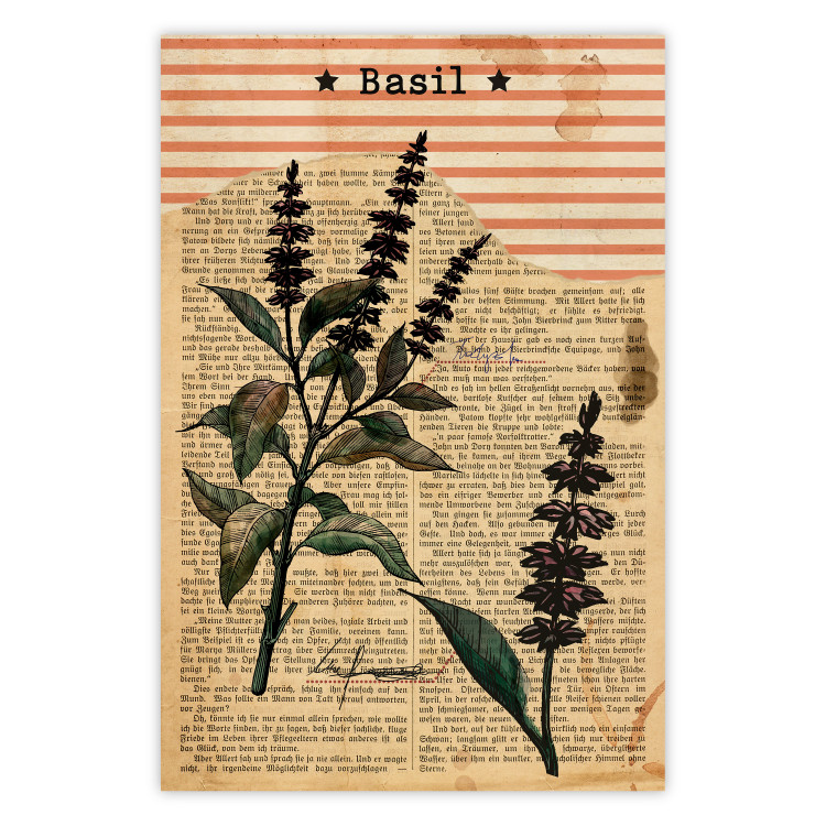 Poster Basil Poetry - vintage composition with plants and black text in background 129426