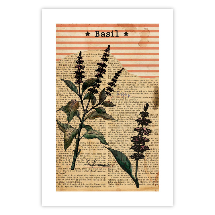 Poster Basil Poetry - vintage composition with plants and black text in background 129426 additionalImage 25