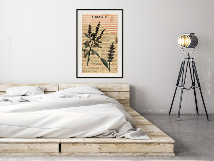 Poster Basil Poetry - vintage composition with plants and black text in background 129426 additionalImage 24