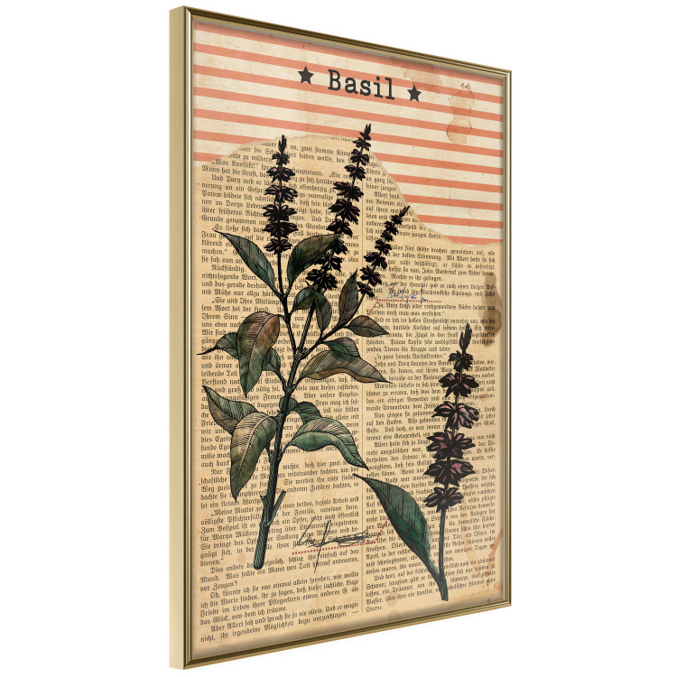 Poster Basil Poetry - vintage composition with plants and black text in background 129426 additionalImage 14