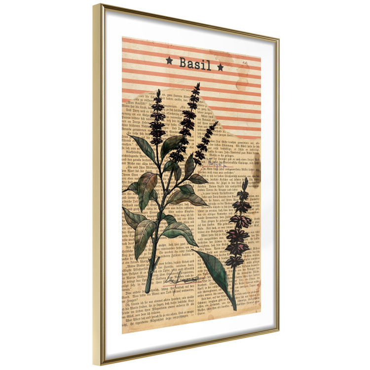 Poster Basil Poetry - vintage composition with plants and black text in background 129426 additionalImage 7