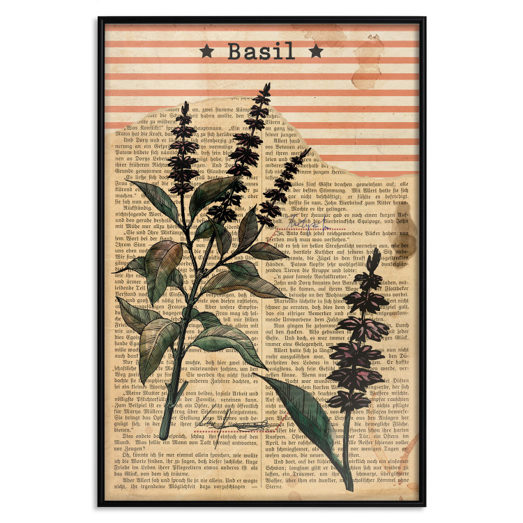 Poster Basil Poetry - vintage composition with plants and black text in background 129426 additionalImage 16