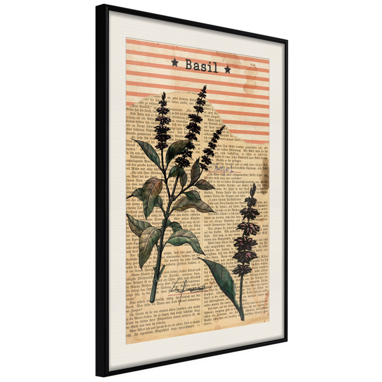 Poster Basil Poetry - vintage composition with plants and black text in background 129426 additionalImage 2
