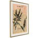 Poster Basil Poetry - vintage composition with plants and black text in background 129426 additionalThumb 3