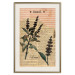 Poster Basil Poetry - vintage composition with plants and black text in background 129426 additionalThumb 20
