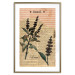 Poster Basil Poetry - vintage composition with plants and black text in background 129426 additionalThumb 14