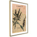 Poster Basil Poetry - vintage composition with plants and black text in background 129426 additionalThumb 7