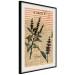 Poster Basil Poetry - vintage composition with plants and black text in background 129426 additionalThumb 2