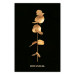 Wall Poster Frozen in Time - golden plant composition with leaves on a black background 130526