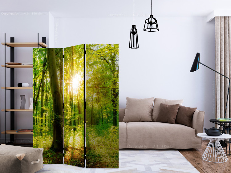 Folding Screen Rays of the Forest - landscape of forest vegetation and sun rays 133826 additionalImage 4