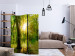 Folding Screen Rays of the Forest - landscape of forest vegetation and sun rays 133826 additionalThumb 4