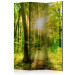 Folding Screen Rays of the Forest - landscape of forest vegetation and sun rays 133826