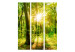 Folding Screen Rays of the Forest - landscape of forest vegetation and sun rays 133826 additionalThumb 3
