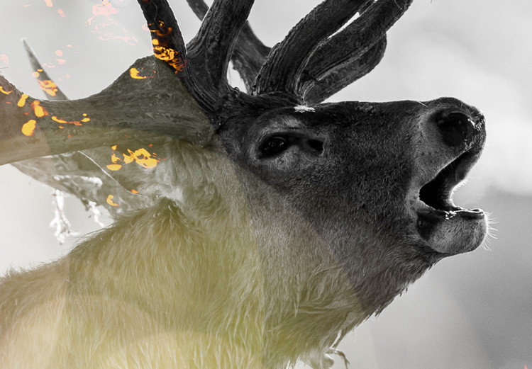 Canvas Print Golden Roar (1-piece) Wide - natural deer in glamour motif 134626 additionalImage 5