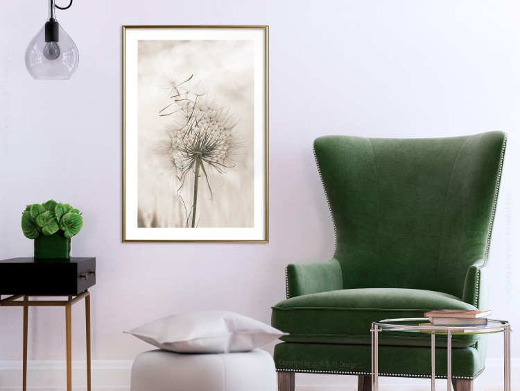 Wall Poster Gentle Breeze - composition with a delicate light dandelion flower 135826 additionalImage 17