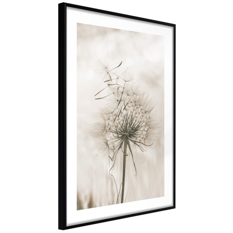 Wall Poster Gentle Breeze - composition with a delicate light dandelion flower 135826 additionalImage 7