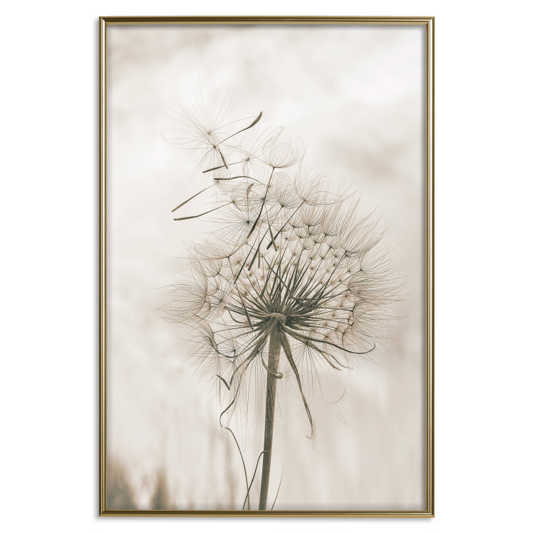 Wall Poster Gentle Breeze - composition with a delicate light dandelion flower 135826 additionalImage 20
