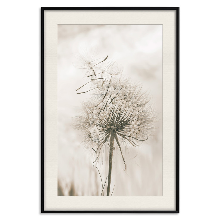 Wall Poster Gentle Breeze - composition with a delicate light dandelion flower 135826 additionalImage 26