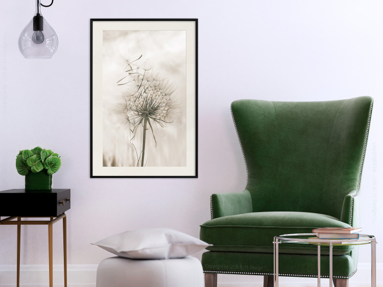 Wall Poster Gentle Breeze - composition with a delicate light dandelion flower 135826 additionalImage 15