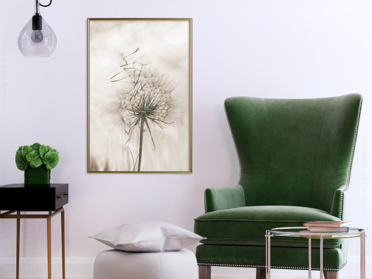 Wall Poster Gentle Breeze - composition with a delicate light dandelion flower 135826 additionalImage 11