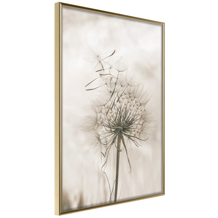 Wall Poster Gentle Breeze - composition with a delicate light dandelion flower 135826 additionalImage 9