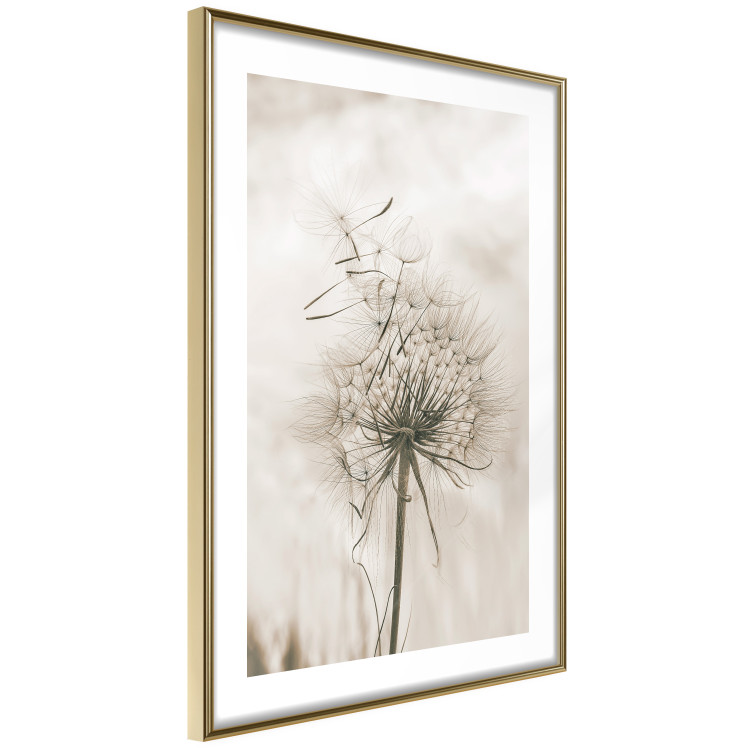 Wall Poster Gentle Breeze - composition with a delicate light dandelion flower 135826 additionalImage 6