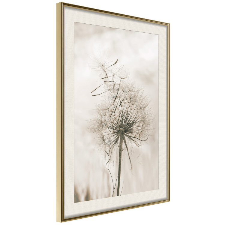Wall Poster Gentle Breeze - composition with a delicate light dandelion flower 135826 additionalImage 12