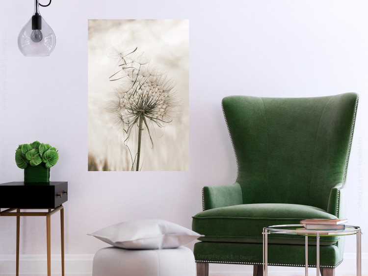 Wall Poster Gentle Breeze - composition with a delicate light dandelion flower 135826 additionalImage 19