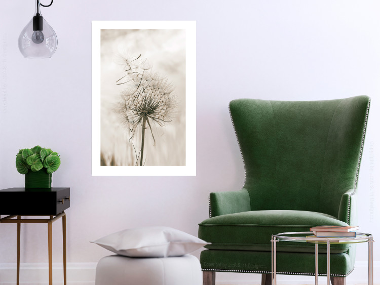 Wall Poster Gentle Breeze - composition with a delicate light dandelion flower 135826 additionalImage 14