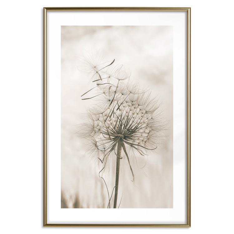 Wall Poster Gentle Breeze - composition with a delicate light dandelion flower 135826 additionalImage 27