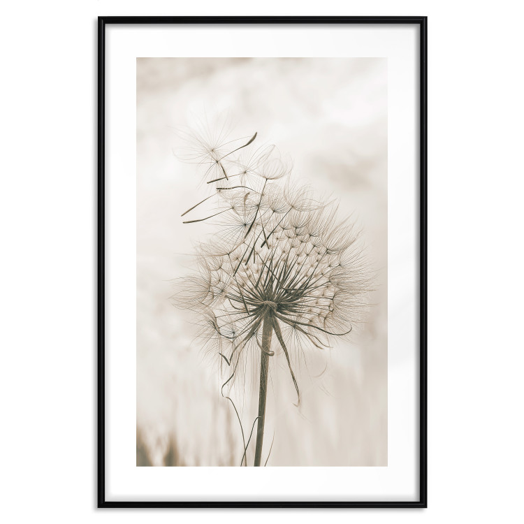 Wall Poster Gentle Breeze - composition with a delicate light dandelion flower 135826 additionalImage 17