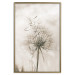 Wall Poster Gentle Breeze - composition with a delicate light dandelion flower 135826 additionalThumb 15