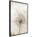 Wall Poster Gentle Breeze - composition with a delicate light dandelion flower 135826 additionalThumb 2