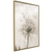 Wall Poster Gentle Breeze - composition with a delicate light dandelion flower 135826 additionalThumb 9
