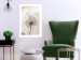 Wall Poster Gentle Breeze - composition with a delicate light dandelion flower 135826 additionalThumb 11