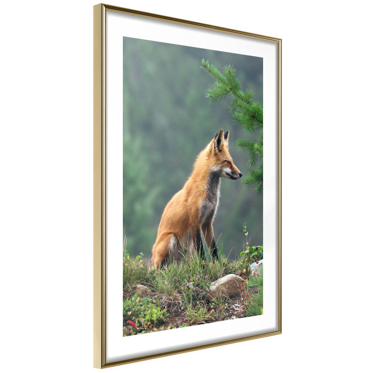 Wall Poster Red Hunter - majestic wild animal amidst forest on a blurred background 138726 additionalImage 2