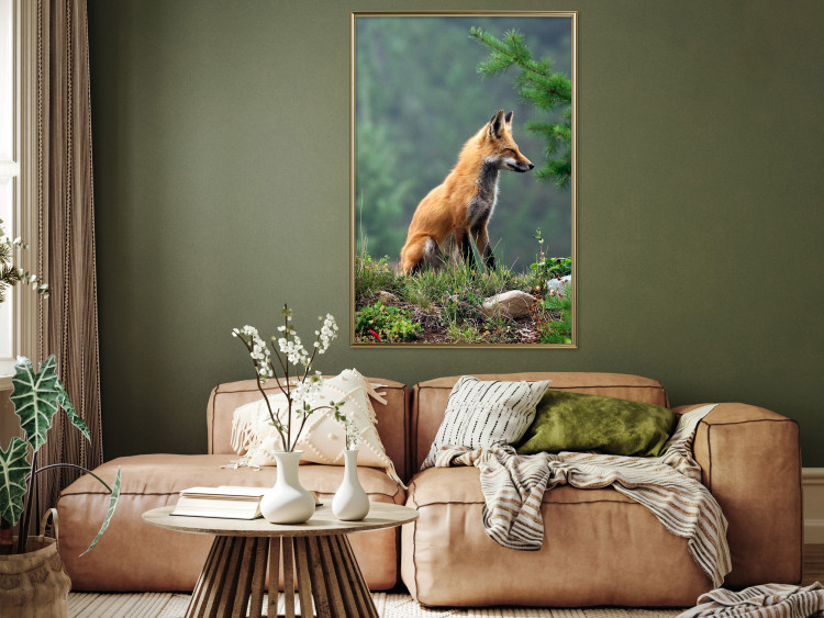 Wall Poster Red Hunter - majestic wild animal amidst forest on a blurred background 138726 additionalImage 17