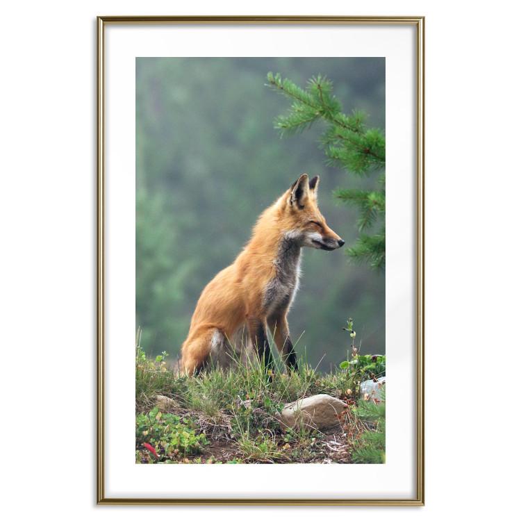 Wall Poster Red Hunter - majestic wild animal amidst forest on a blurred background 138726 additionalImage 21