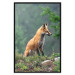 Wall Poster Red Hunter - majestic wild animal amidst forest on a blurred background 138726 additionalThumb 24