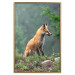 Wall Poster Red Hunter - majestic wild animal amidst forest on a blurred background 138726 additionalThumb 27