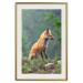Wall Poster Red Hunter - majestic wild animal amidst forest on a blurred background 138726 additionalThumb 20