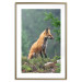 Wall Poster Red Hunter - majestic wild animal amidst forest on a blurred background 138726 additionalThumb 21