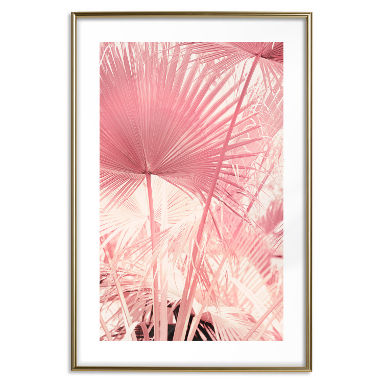 Wall Poster Pink Palm Trees - Leaves in Pastel Colors on a Sunny Day 144126 additionalImage 24