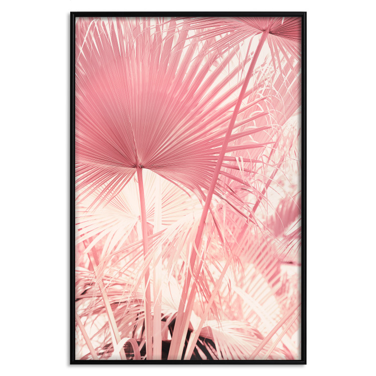 Wall Poster Pink Palm Trees - Leaves in Pastel Colors on a Sunny Day 144126 additionalImage 16