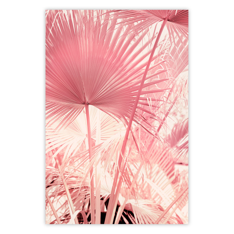 Wall Poster Pink Palm Trees - Leaves in Pastel Colors on a Sunny Day 144126