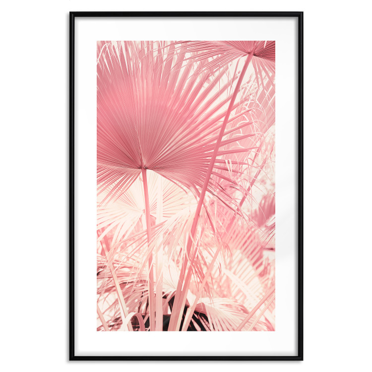 Wall Poster Pink Palm Trees - Leaves in Pastel Colors on a Sunny Day 144126 additionalImage 23