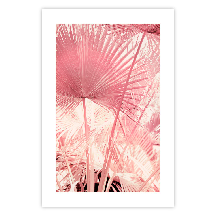 Wall Poster Pink Palm Trees - Leaves in Pastel Colors on a Sunny Day 144126 additionalImage 13